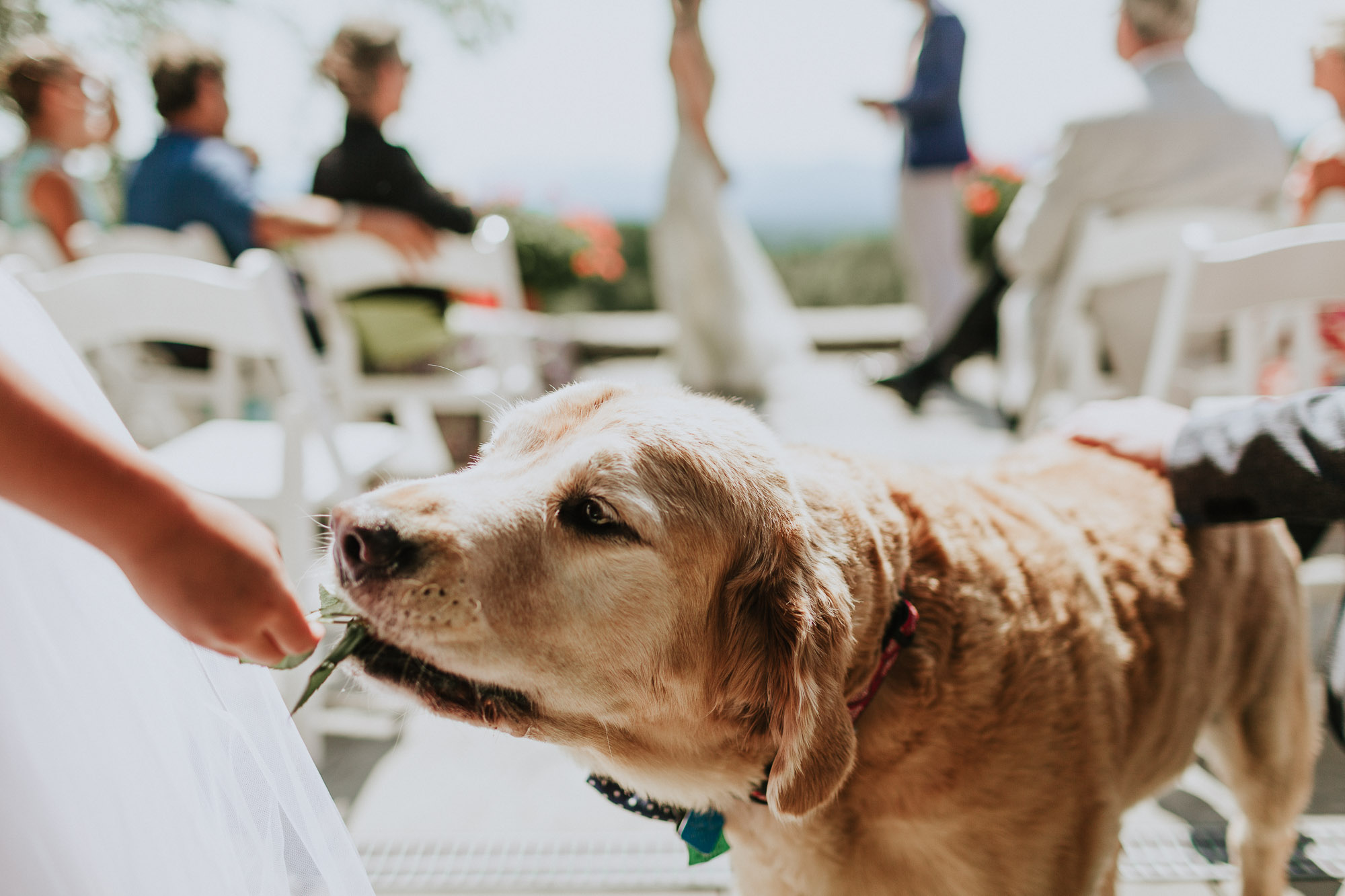 vermont-boston-wedding-photographers-036