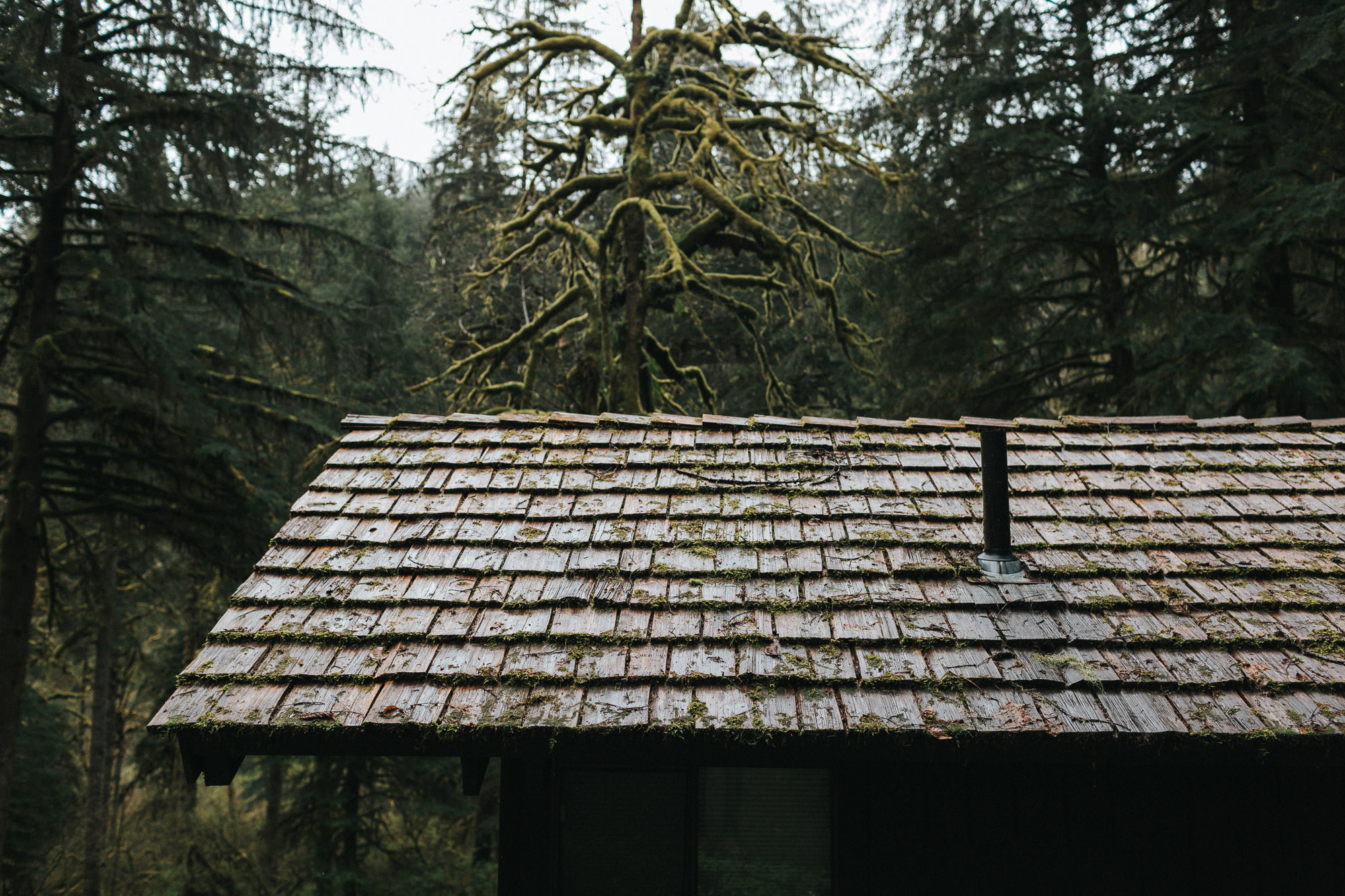 silver-falls-oregon-wedding-photographer-010