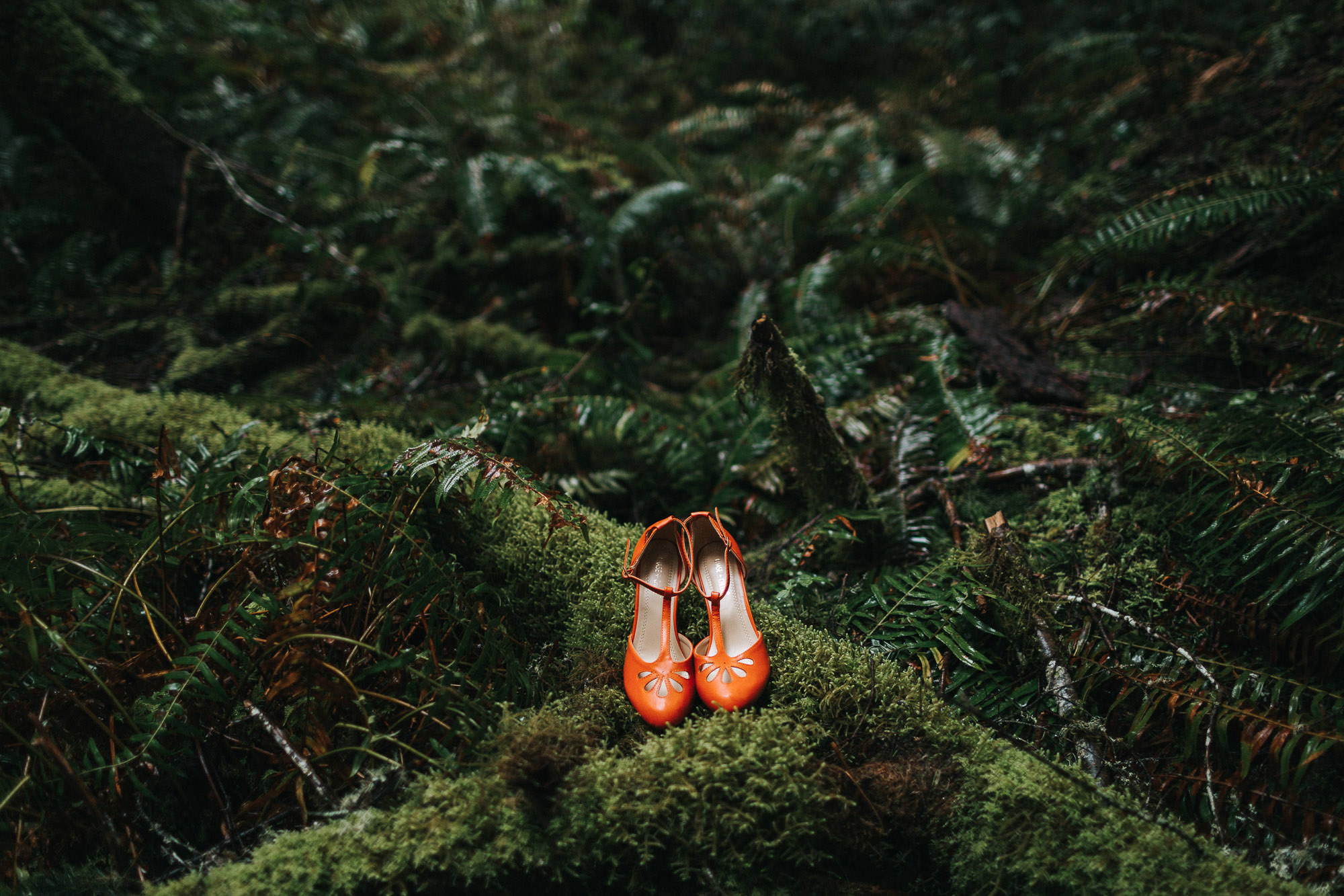 silver-falls-oregon-wedding-photographer-012