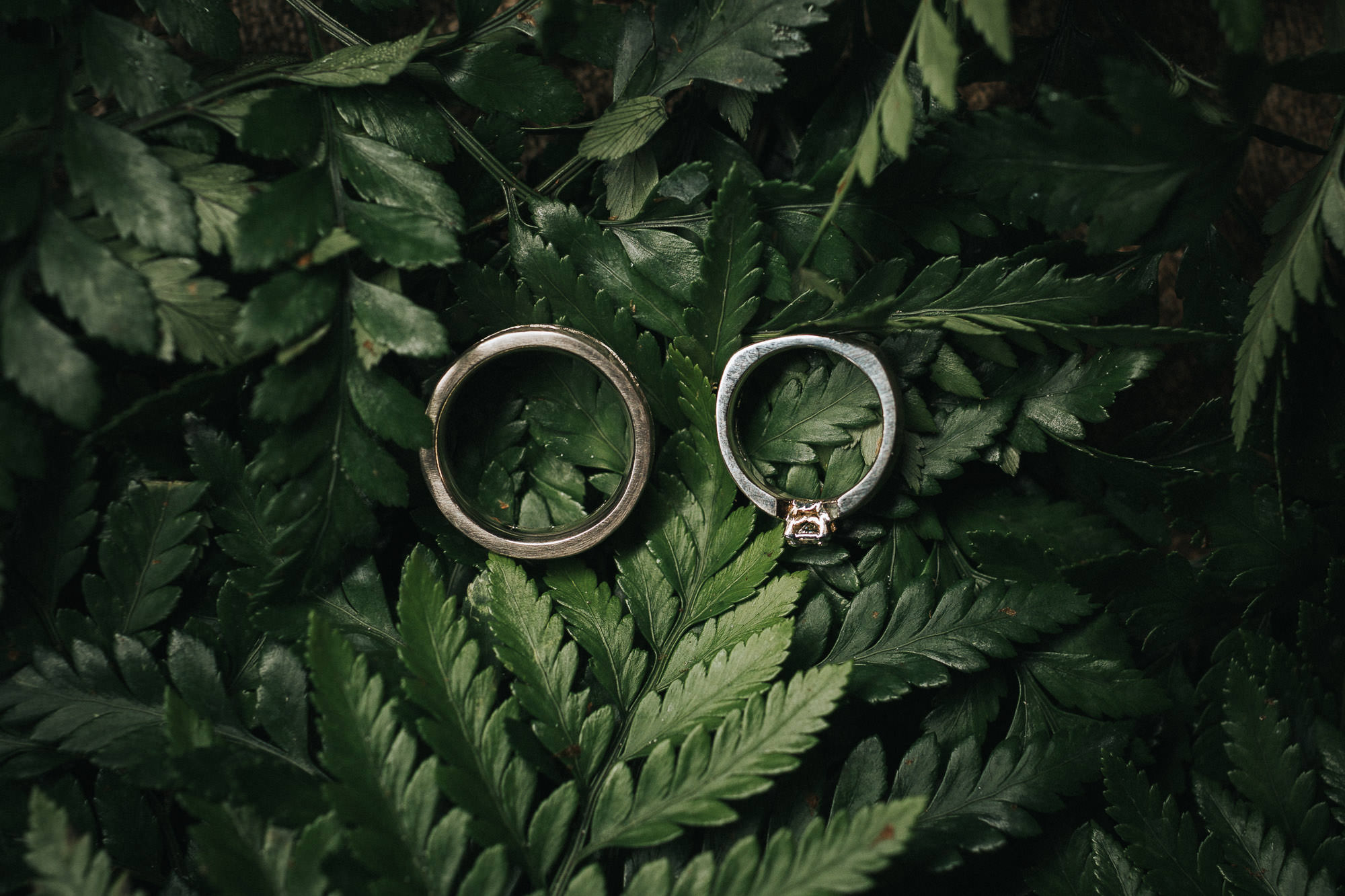 silver-falls-oregon-wedding-photographer-015