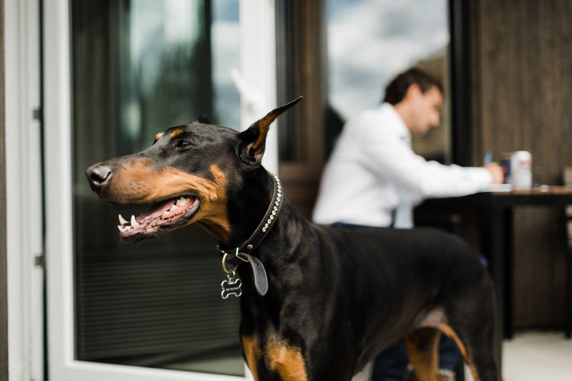 Dog "smiles" in foreground while groom writes his vows in background in Bend, Oregon