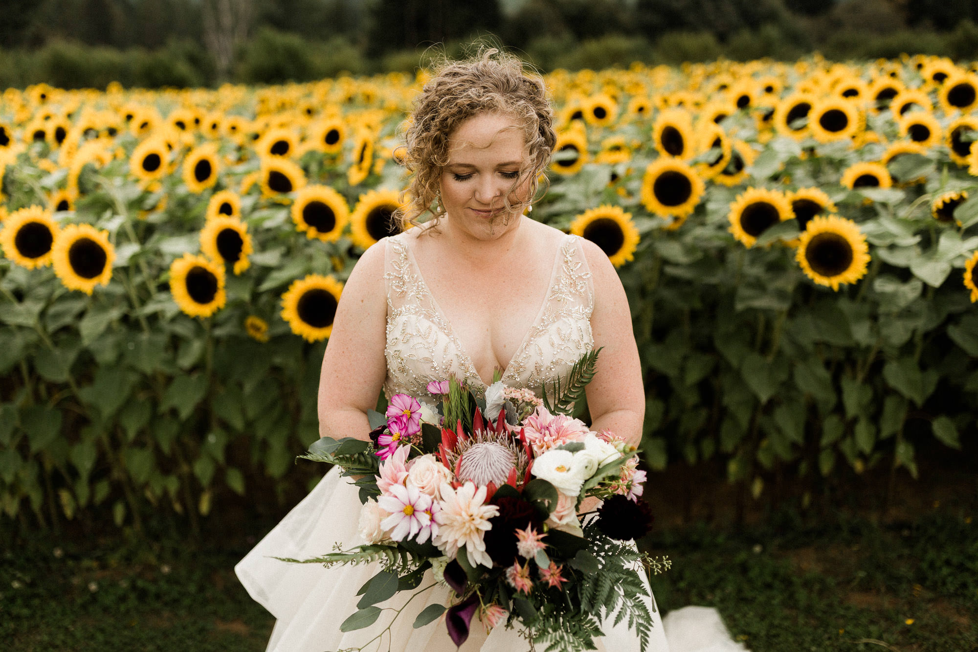 The bride poses for a portrait in front of a field of sunflowers at Mt. View Orchards.