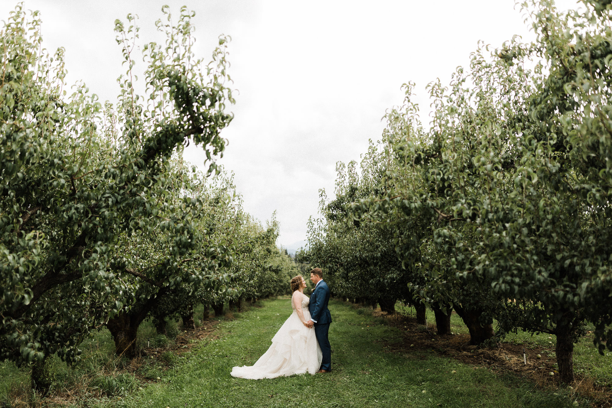 Bride and groom hold hands in an orchard at Mt. View Orchards in Oregon.