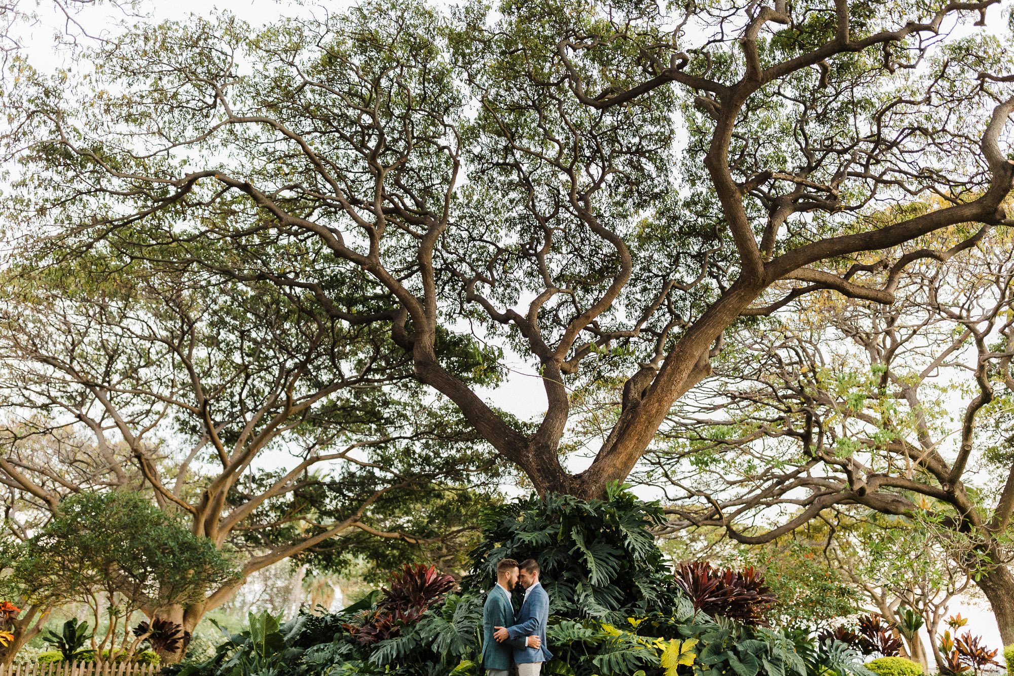 gay-wedding-portraits-olowalu-plantation-maui